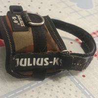 pettorina Julius k9 per chihuahua