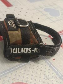 pettorina Julius k9 per chihuahua
