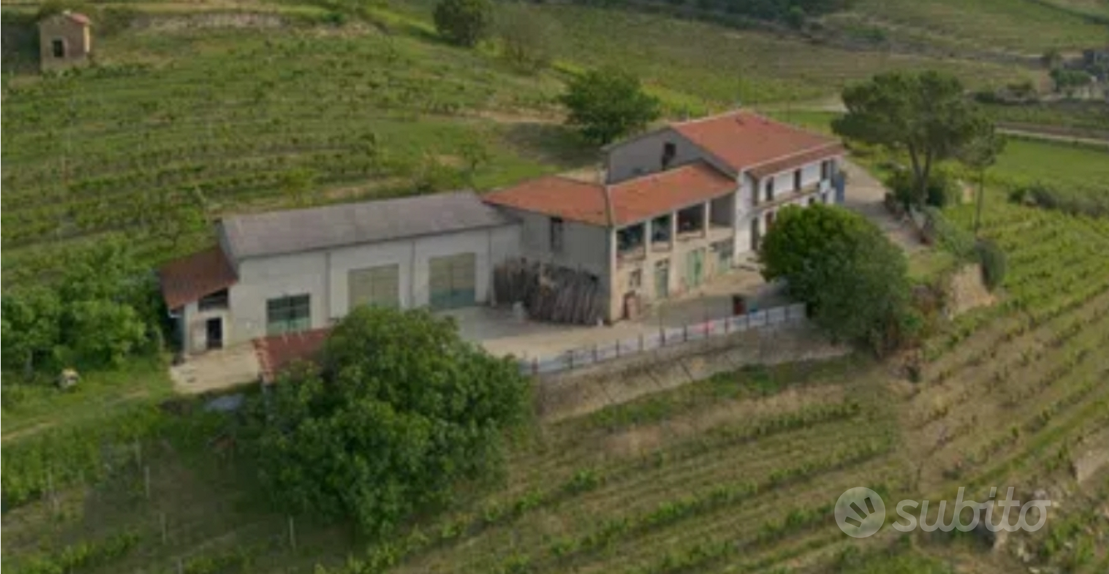 Privato vende azienda vitivinicola in Langa - View 2