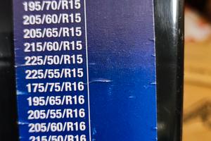 catene da neve Polar