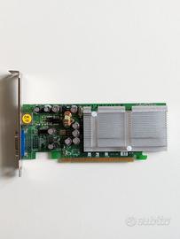 Scheda Video Nvidia GeForce 6200 256MB PCI Express