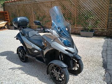 Qooder Quadro 400 - 2019