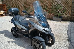 Qooder Quadro 400 - 2019