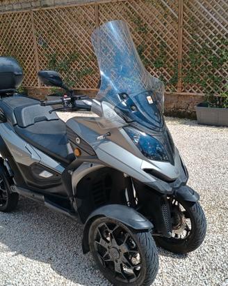Qooder Quadro 400 - 2019