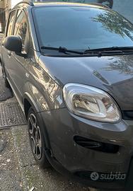 Fiat Panda hybrid