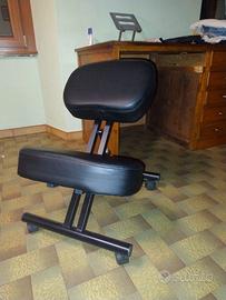 Sedia ergonomica