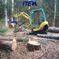 IPL800 Pinza Legna Ramaglia apertura 80cm