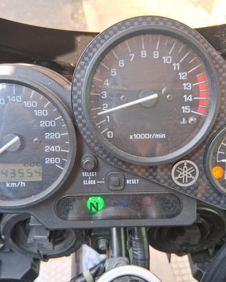 Yamaha FZS 600 Fazer INDISTRUTTIBILE