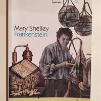 Libro in inglese "Frankenstein"