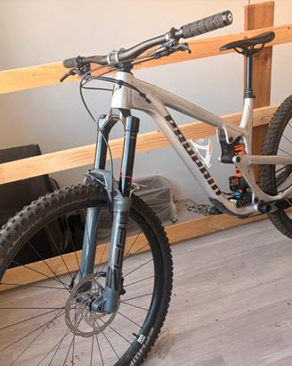 Mtb Propain