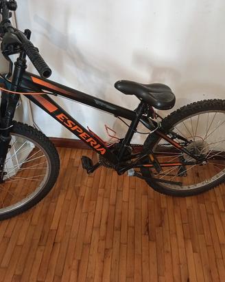 bicicletta mountain bike