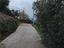 Immagine 11