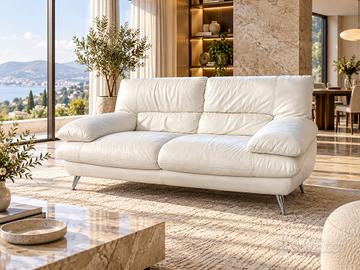 Divano Natuzzi / Divani & Divani