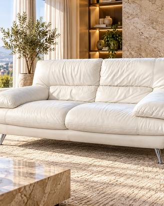 Divano Natuzzi / Divani & Divani