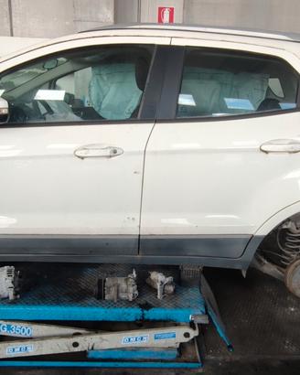 Sportelli sinistri EcoSport 2015