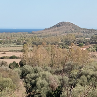 Terreno con fabbricato in agro di Barisardo