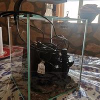 acquario design  20lt