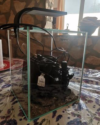 acquario design  20lt