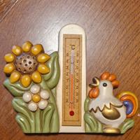 Termometro da muro Thun