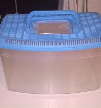 Vaschette e Acquari per PESCI