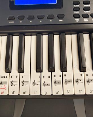 Tastiera rockjam rj461 