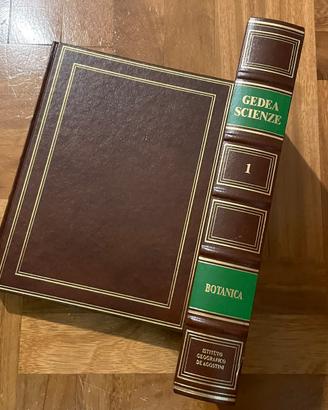 Grande enciclopedia De Agostini