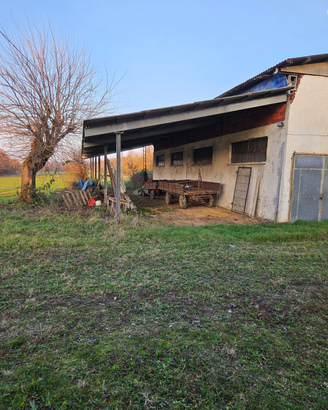 Azienda agricola