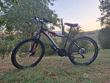 mountain-bike per ragazzi