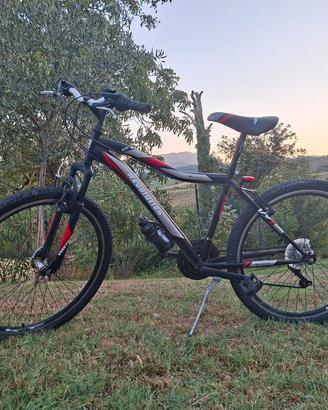 mountain-bike per ragazzi