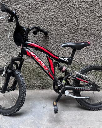 Bicicletta bambino professionale