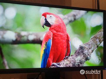 Monitor LED ruotabile 24"