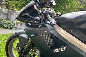 Cagiva mito EV