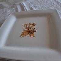 Piatto firmato carrozzo