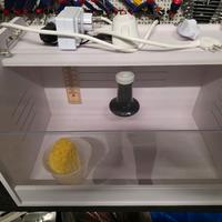 Camera calda per pulli