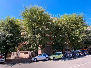 Monteverde - Attivita' di bar