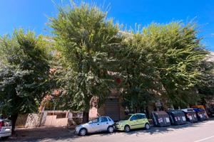 Monteverde - Attivita' di bar