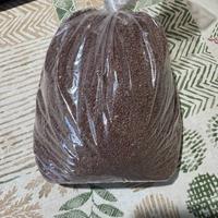 Terreno fertile mandado per acquario