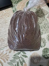 Terreno fertile mandado per acquario