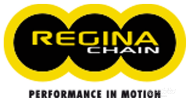 Catene Regina nuove per vari modelli di moto