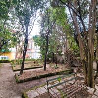 Appartamento con terrazzo e giardino