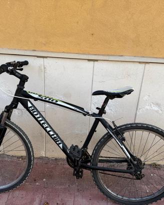 Bottecchia