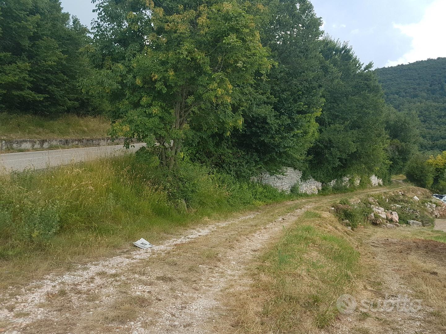 Valpolicella terreno agricolo - Vista 3