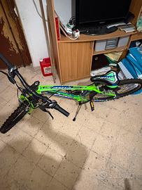 MOUNTAIN-BIKE