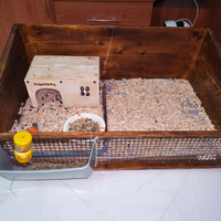 Box gabbia per porcellini d'india