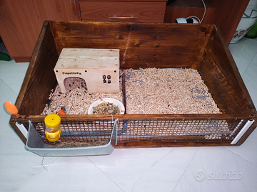 Box gabbia per porcellini d'india