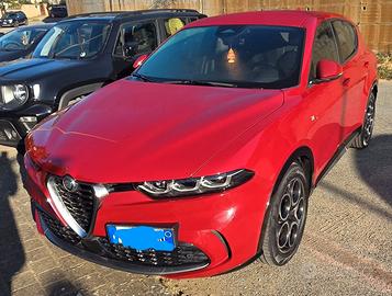 Splendida Alfa Romeo Tonale