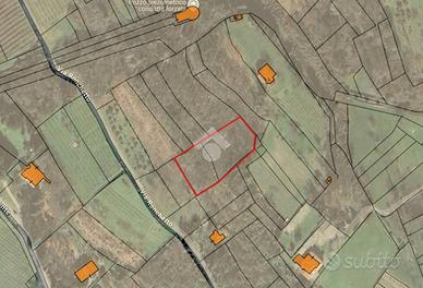 TER. AGRICOLO A VIVERONE