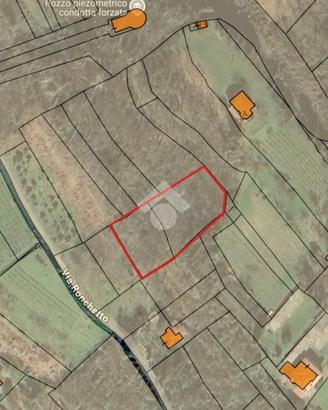 TER. AGRICOLO A VIVERONE