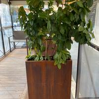 Vaso in corten 80x60x20