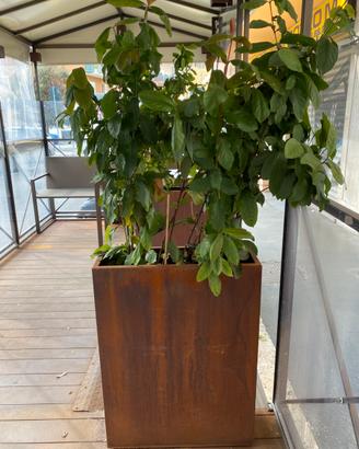 Vaso in corten 80x60x20